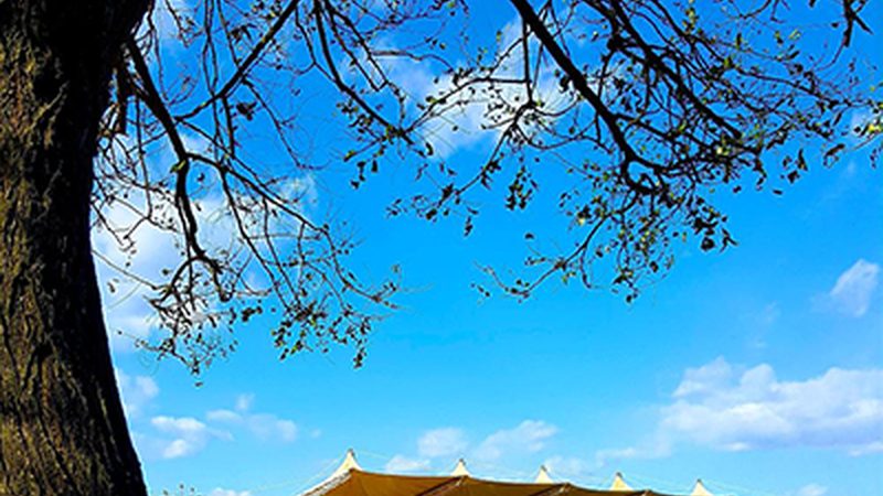 开源电子设计自动化软件：助力DIY发烧友的利器