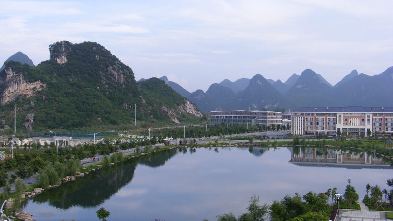 微机保护测控装置：定制化背后的技术考量**